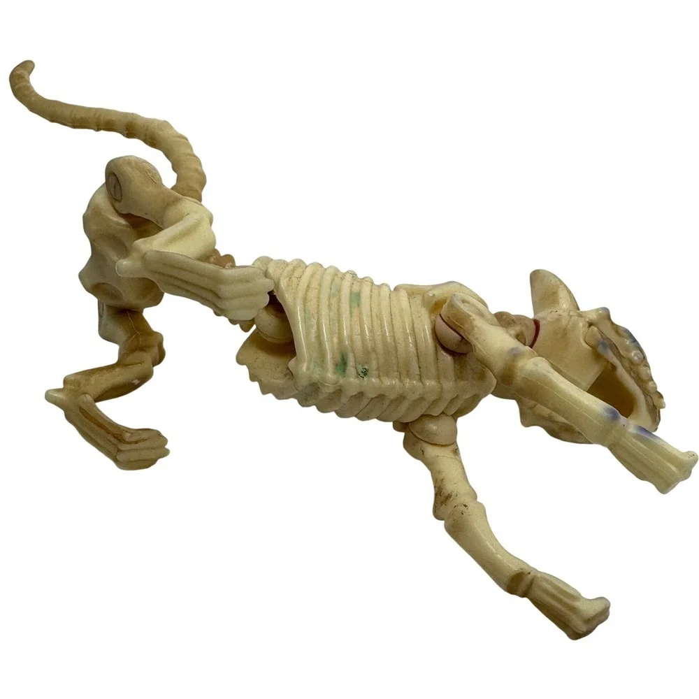 Articulated Cat Skeleton Halloween Figurine Posable Plastic Bone Decor 7 Inch